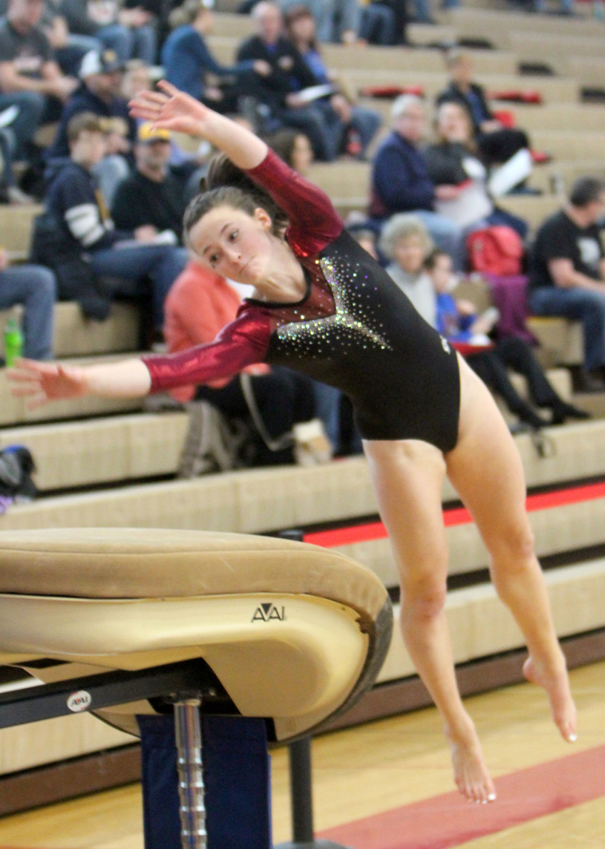 Big Rivers Conference Gymnastics Meet at Chippewa Falls 2-16-19